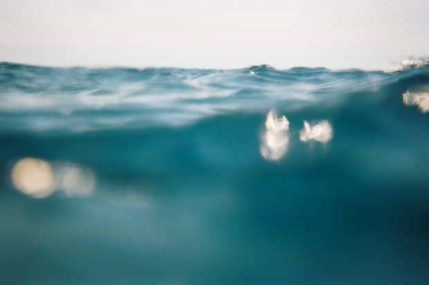 ���}���̃C���J����
(620�~413pixel,15.1KB)