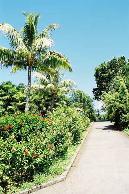 ���ȁE���M�ѐA���Z���^�[
(413�~620pixel,70.6KB)