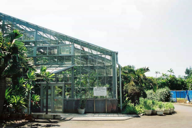 ���ȁE���M�ѐA���Z���^�[
(620�~413pixel,49.9KB)