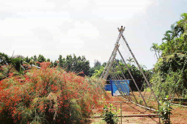 ���ȁE���M�ѐA���Z���^�[
(620�~413pixel,62.9KB)