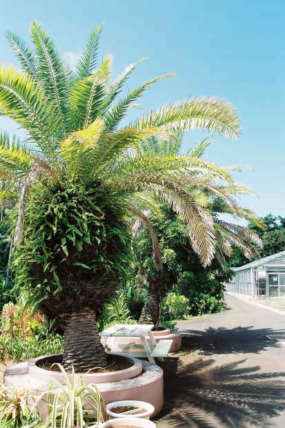 ���ȁE���M�ѐA���Z���^�[
(413�~620pixel,71.1KB)