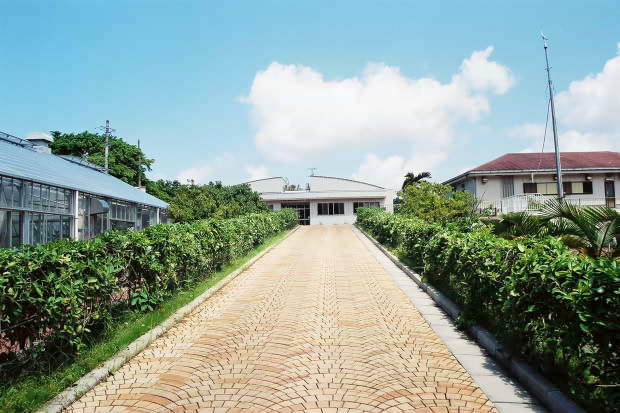 ���ȁE���M�ѐA���Z���^�[
(620�~413pixel,54.3KB)