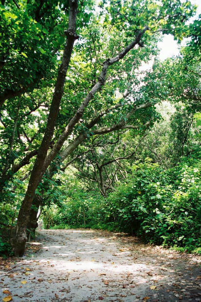 ���}���E���̓�
(413�~620pixel,99.9KB)