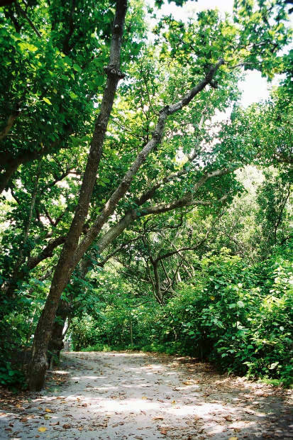 ���}���E���̓�
(413�~620pixel,100.2KB)