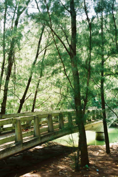 ���}���E���̓�
(413�~620pixel,73.5KB)