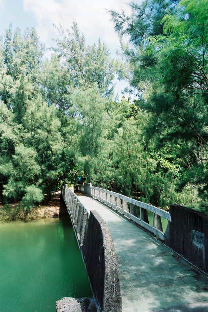 ���}���E���̓�
(413�~620pixel,66.0KB)