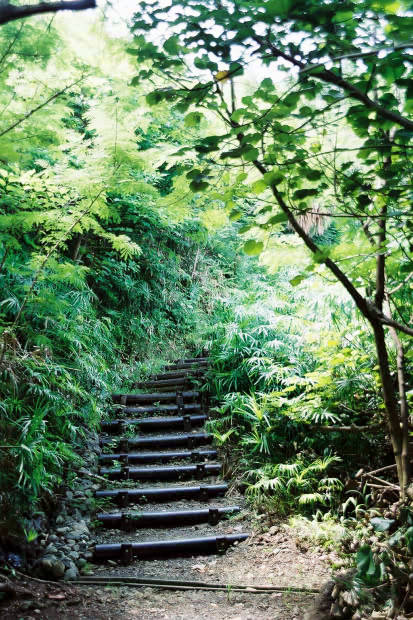 ���}���E���̓�
(413�~620pixel,89.0KB)