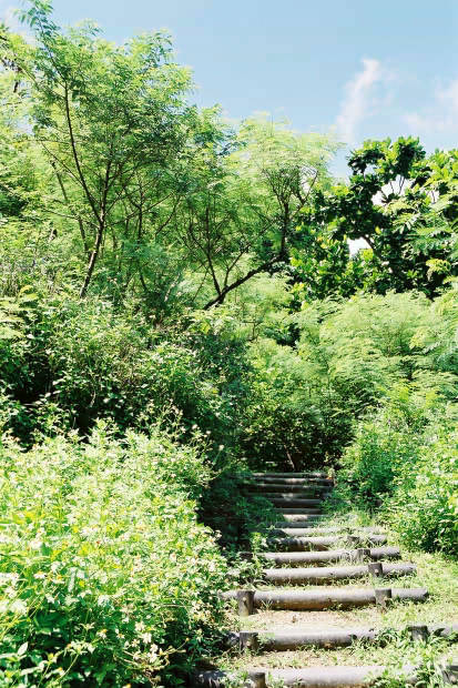 ���}���E���̓�
(413�~620pixel,94.8KB)