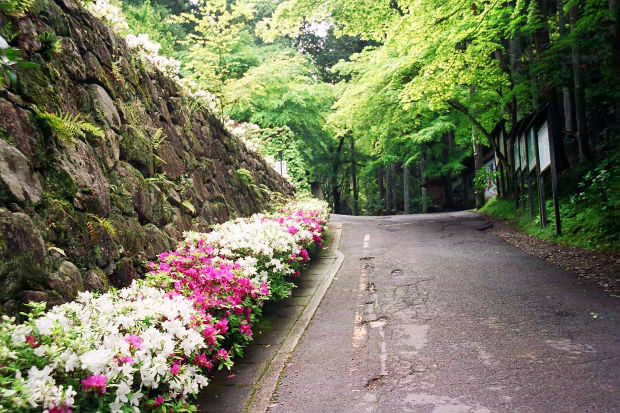 �匴
(620�~413pixel,95.7KB)