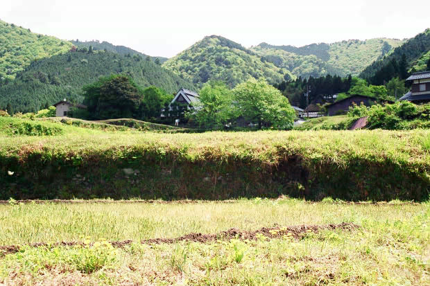 �匴
(620�~413pixel,82.9KB)