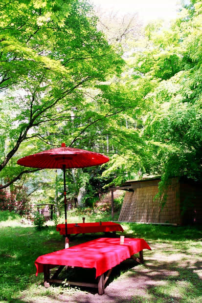 �匴
(413�~620pixel,111.5KB)