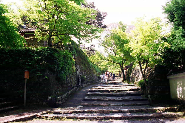 �匴
(620�~413pixel,86.5KB)