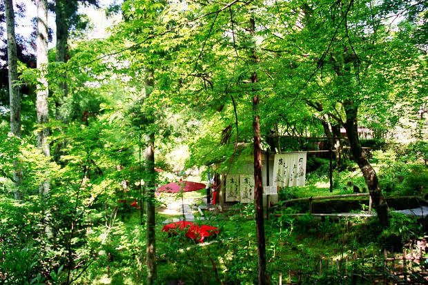 �匴
(620�~413pixel,122.6KB)