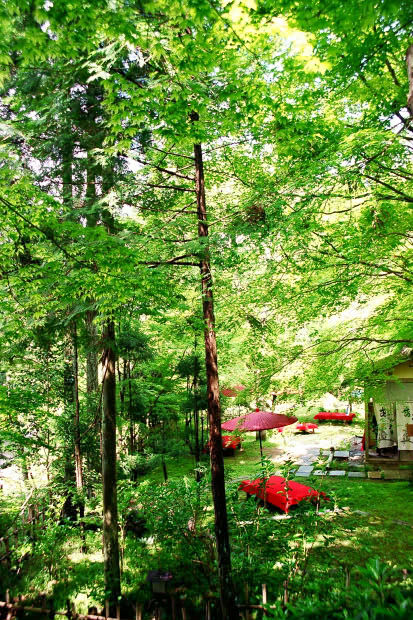 �匴
(413�~620pixel,128.2KB)