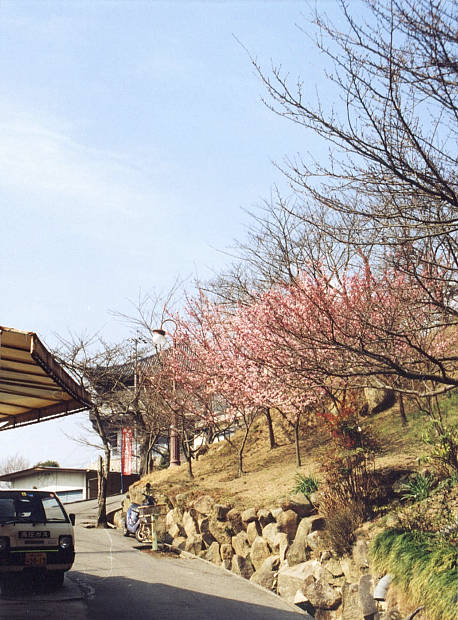 ����
(458�~620pixel,76.0KB)