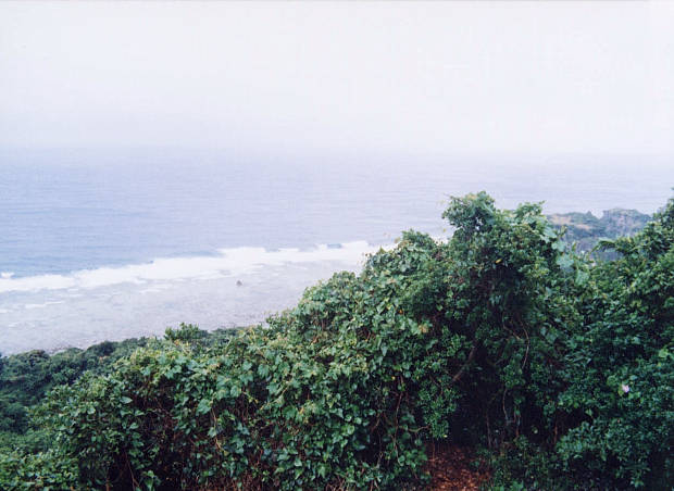 �����m�̋u�E�񗢏�
(620�~452pixel,48.6KB)