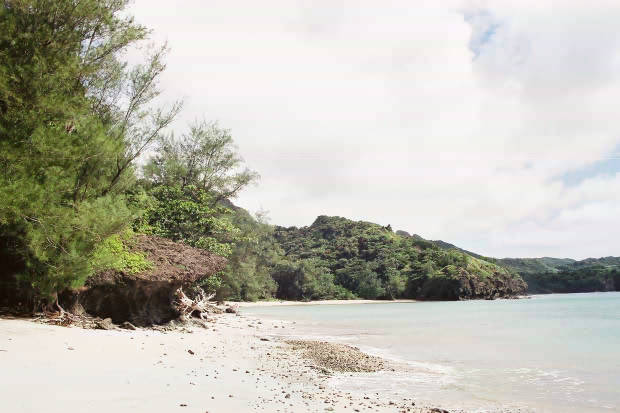 ���Y���_�]��
(620�~413pixel,37.7KB)