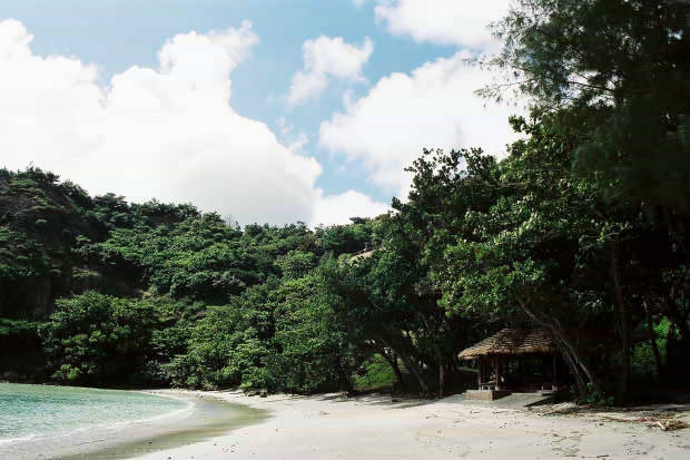 ���Y���_�]��
(620�~413pixel,46.3KB)