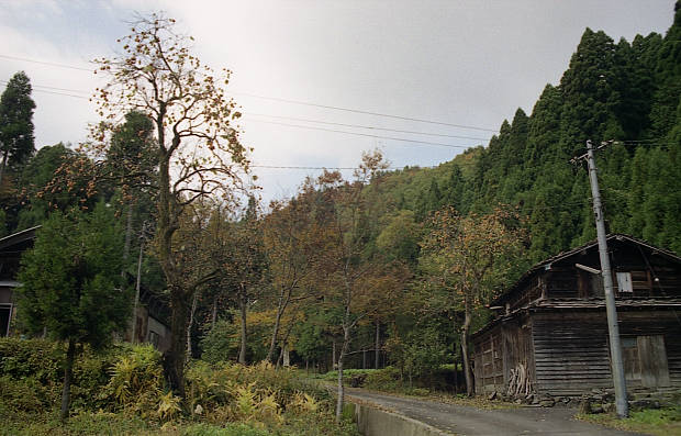 �����E���̉���
(620�~397pixel,57.7KB)