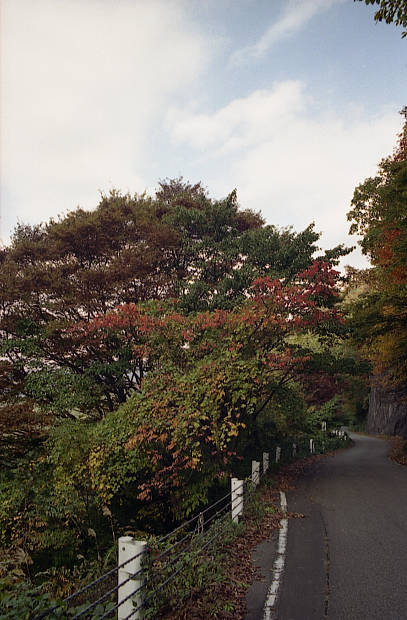 �����E���̉���
(407�~620pixel,55.7KB)