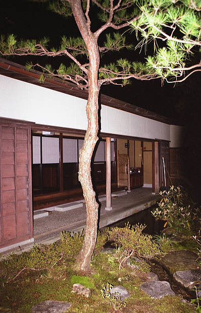 �����E���̉���
(398�~620pixel,69.6KB)