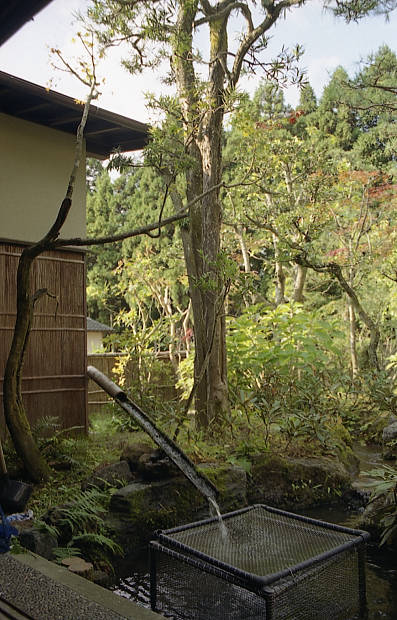 �����E���̉���
(397�~620pixel,70.6KB)