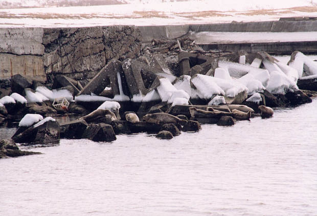 �t��
(620�~422pixel,47.5KB)