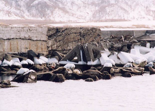 �t��
(620�~445pixel,52.4KB)