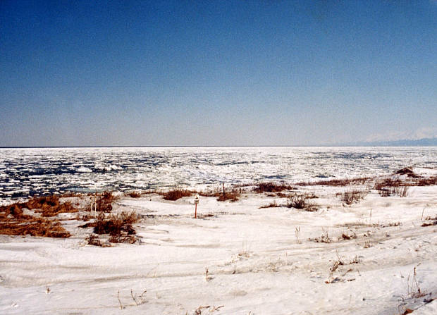 �Η��E�k�l
(620�~447pixel,49.5KB)