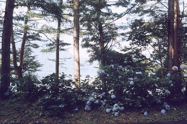 ����
(620�~411pixel,78.8KB)