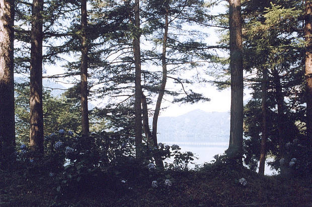 ����
(620�~412pixel,80.5KB)