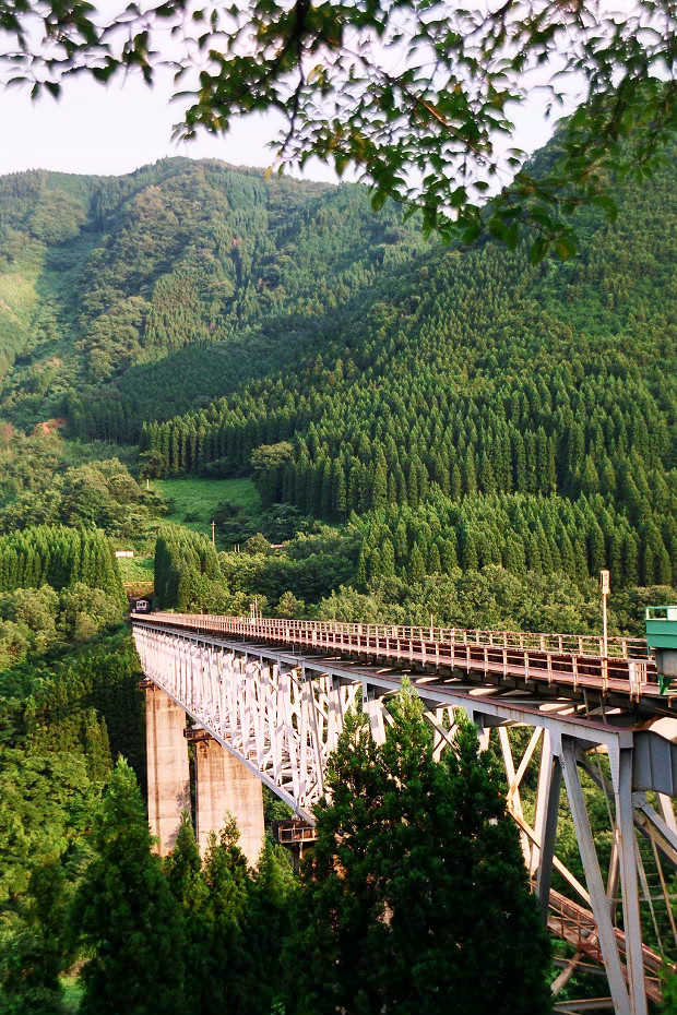 ����䋴��傤
(620�~930pixel,266.4KB)