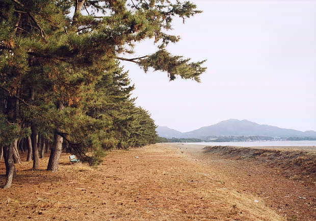 ���O���c
(620�~433pixel,60.4KB)