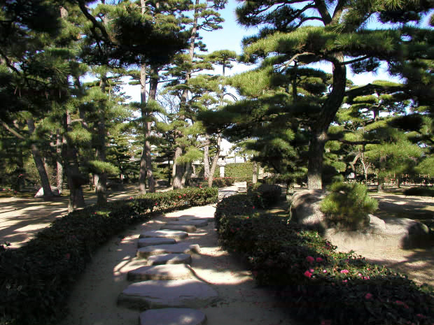 �����E�ʑ�����
(620�~465pixel,113.0KB)