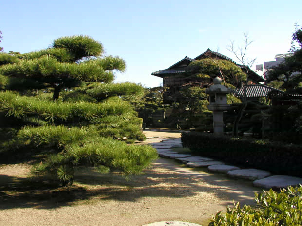 �����E�ʑ�����
(620�~465pixel,84.6KB)