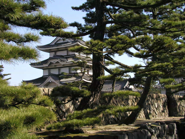 �����E�ʑ�����
(620�~465pixel,117.0KB)