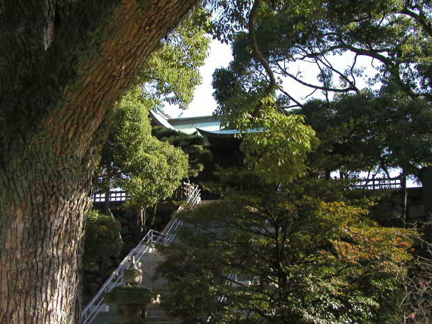 �����E�ʑ�����
(620�~465pixel,124.4KB)