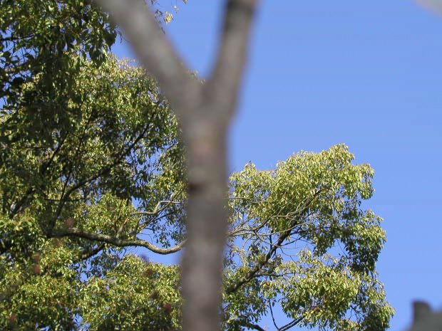 �����E�ʑ�����
(620�~465pixel,106.9KB)