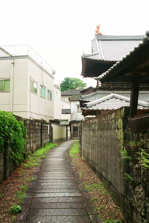 �|�c�̊X����
(620�~930pixel,193.9KB)