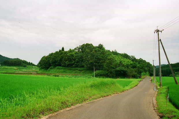 �|�c�E�킫���̗�
(620�~413pixel,59.7KB)