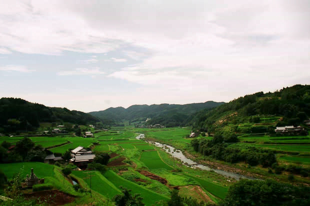 �|�c�E�킫���̗�
(620�~413pixel,51.9KB)