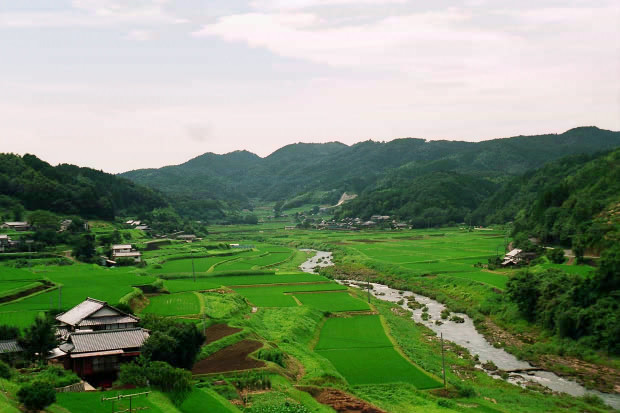 �|�c�E�킫���̗�
(620�~413pixel,64.8KB)