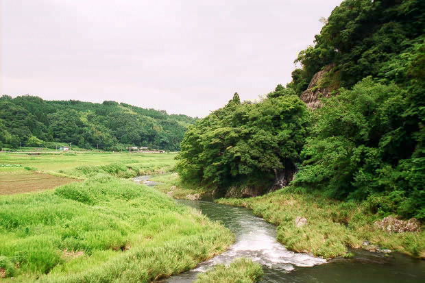 �|�c�E�킫���̗�
(620�~413pixel,86.6KB)