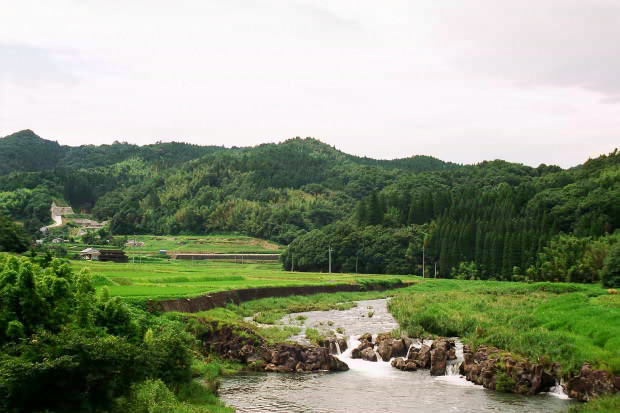 �|�c�E�킫���̗�
(620�~413pixel,70.0KB)