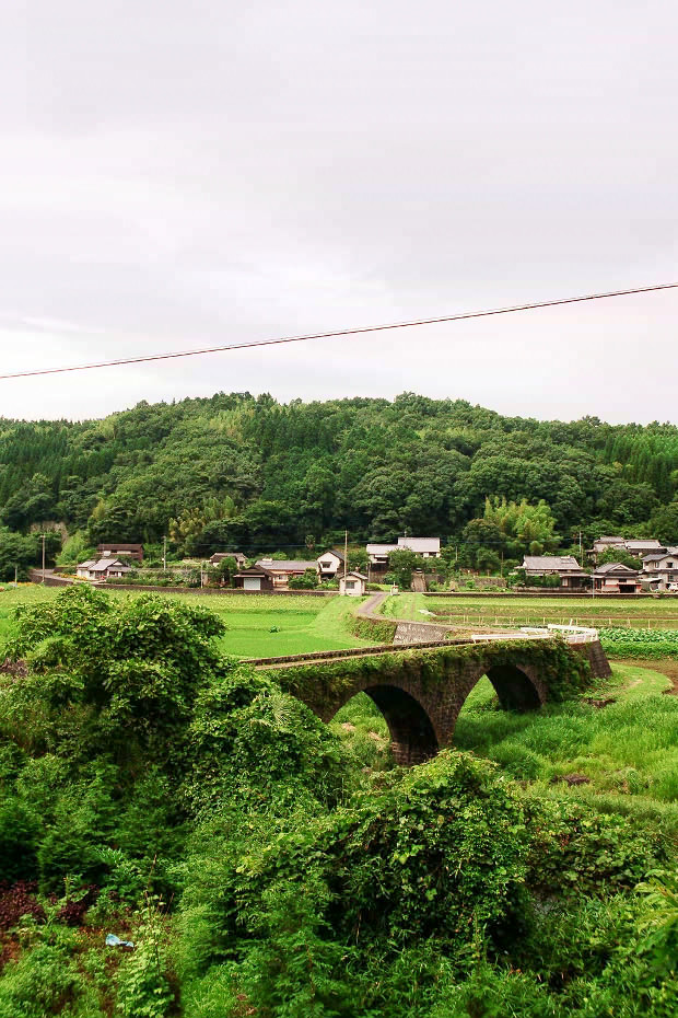 �|�c�E�킫���̗�
(620�~930pixel,204.4KB)