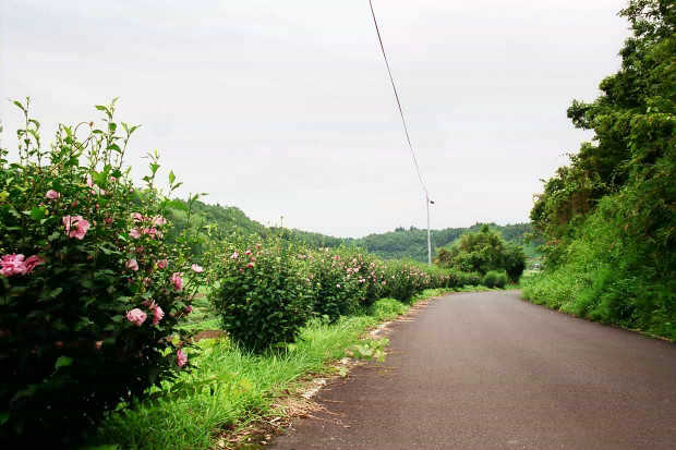 �|�c�E�킫���̗�
(620�~413pixel,76.0KB)