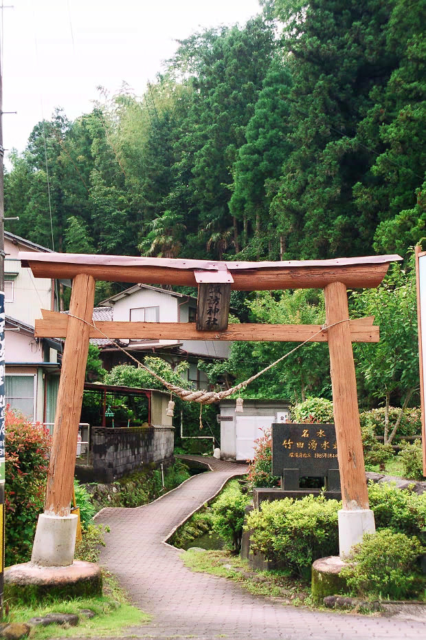 �|�c�E�킫���̗�
(620�~930pixel,250.4KB)