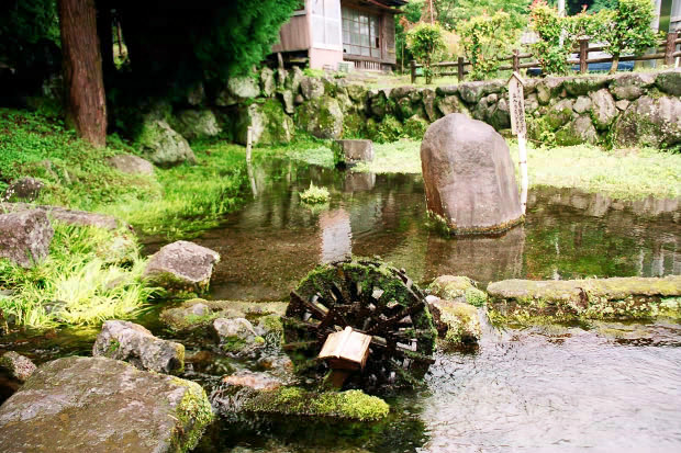 �|�c�E�킫���̗�
(620�~413pixel,121.1KB)