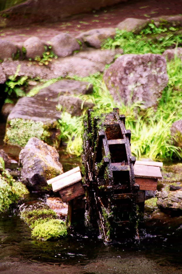 �|�c�E�킫���̗�
(620�~930pixel,194.1KB)