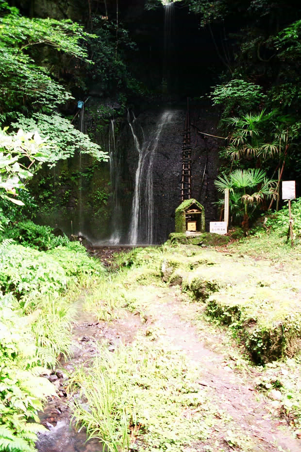 �|�c�E�킫���̗�
(620�~930pixel,242.0KB)